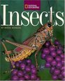 Insects