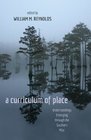 A Curriculum of Place Understandings Emerging Through the Southern Mist