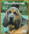 Bloodhounds Everything About Purchase Care Nutrition Breeding Behavior and Training