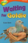 Oxford Reading Tree Stage 13 TreeTops Stories Waiting for Goldie