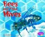Bees and Their Hives