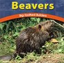 Beavers BigToothed Builders