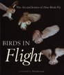 Birds in Flight The Art and Science of How Birds Fly