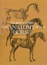 The Anatomy of the Horse