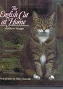 The English Cat at Home
