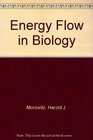 Energy Flow in Biology