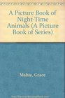 A Picture Book of NightTime Animals
