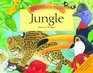 Sounds of the Wild Jungle