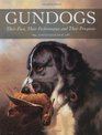 Gundogs Their Past Their Performance and Their Prospects