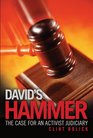 David's Hammer The Case for an Activist Judiciary