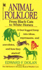 Animal Folklore From Black Cats to White Horses