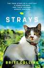 Strays The True Story of a Lost Cat a Homeless Man and Their Journey Across America