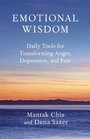 Emotional Wisdom Daily Tools for Transforming Anger Depression and Fear