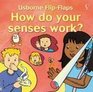 How Do Your Senses Work