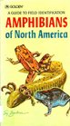 Amphibians of North America A Guide to Field Identification