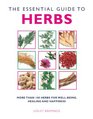 The Essential Guide to Herbs More Than 100 Herbs for WellBeing Healing and Happiness