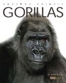 Amazing Animals Gorillas
