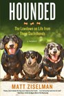 Hounded The Lowdown on Life from Three Dachshunds