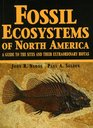 Fossil Ecosystems of North America A Guide to the Sites and Their Extraordinary Biotas