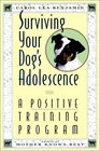 Surviving Your Dog's Adolescence  A Positive Training Program
