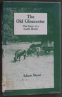 Old Gloucester The Story of a Cattle Breed
