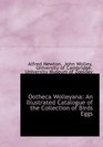 Ootheca Wolleyana An Illustrated Catalogue of the Collection of Birds Eggs