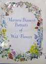 Marjorie Blamey's Portraits of Wild Flowers