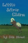 Little Silver Charm