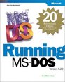 Running MSDOS 20th Anniversary Edition