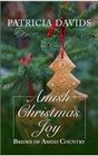 Amish Christmas Joy (Thorndike Press Large Print Christian Romance Series)