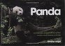 Panda An Intimate Portrait Of One Of The World's Most Elusive Characters