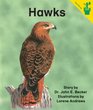 Early Reader Hawks