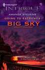 Going to Extremes (Big Sky Bounty Hunters, Bk 1) (Harlequin Intrigue, No 862)