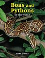 Boas and Pythons of the World Mark O'Shea