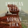 American Meteor A Novel