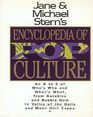 Jane  Michael Stern's Encyclopedia of Pop Culture An A to Z Guide of Who's Who and What's What from Aerobics and Bubble Gum to Valley of the Doll
