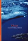 Discoveries Whales Giants of the Seas and Oceans