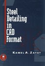 Steel Detailing in CAD Format