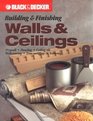 Building  Finishing Walls  Ceilings