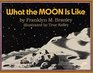 What the Moon Is Like (Let's Read and Find Out Science Series)