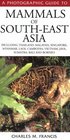 A Photographic Guide to Mammals of SouthEast Asia Including Thailand Malaysia Singapore Myanmar Laos Vietnam Cambodia Java Sumatra Bali and Borneo