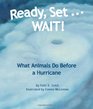 Ready Set    WAIT What Animals Do Before a Hurricane