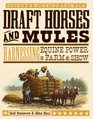 Draft Horses and Mules Harnessing Equine Power for Farm  Show
