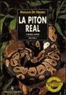 La Piton Real / Python regius