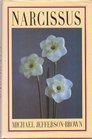 Narcissus