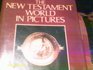 The New Testament World in Pictures