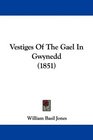 Vestiges Of The Gael In Gwynedd