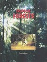 Biomes Atlases Tropical Forest