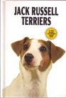 Jack Russell Terriers