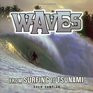 Waves From Surfing To Tsunami